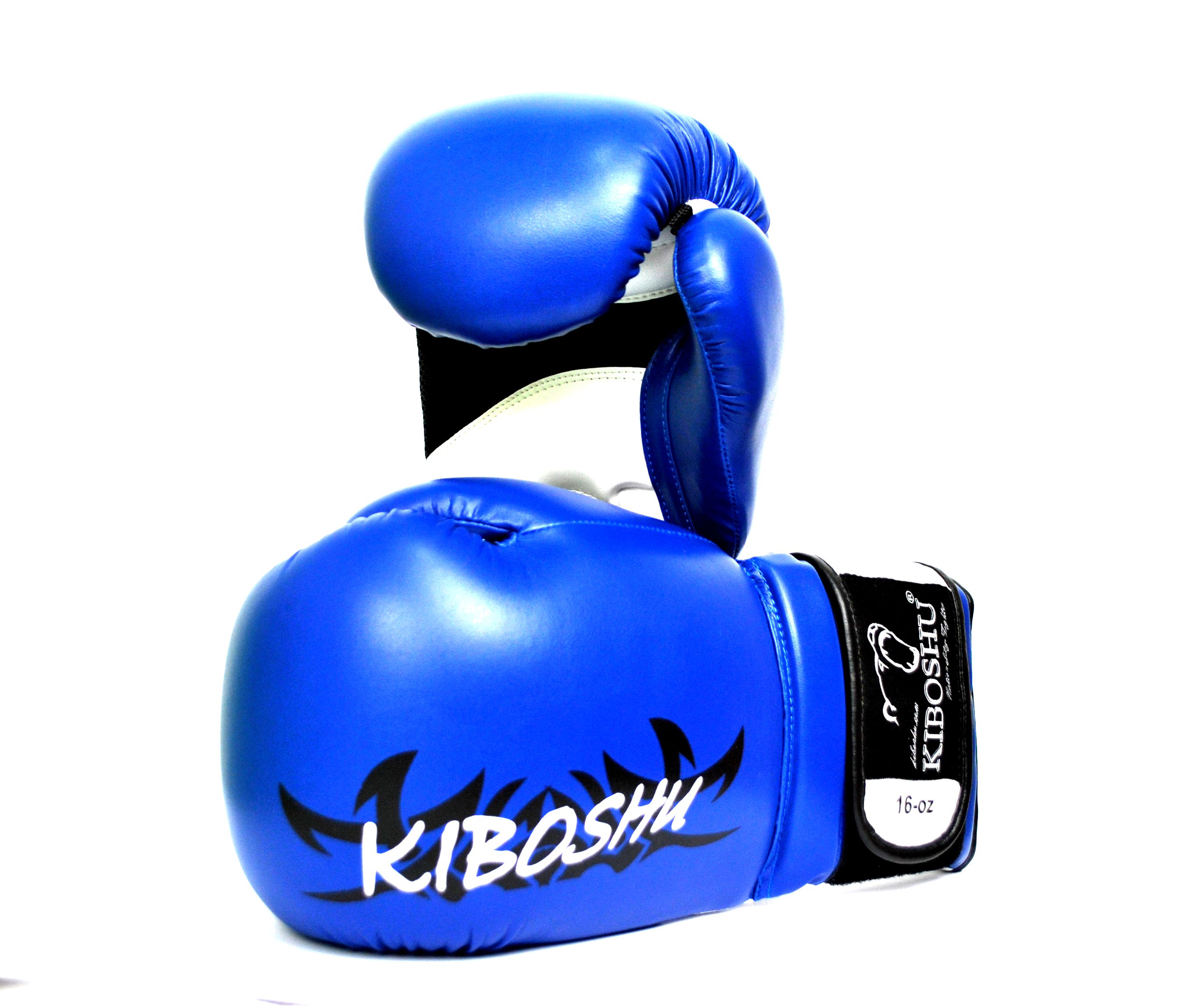 Kiboshu Боксерские перчатки TR
